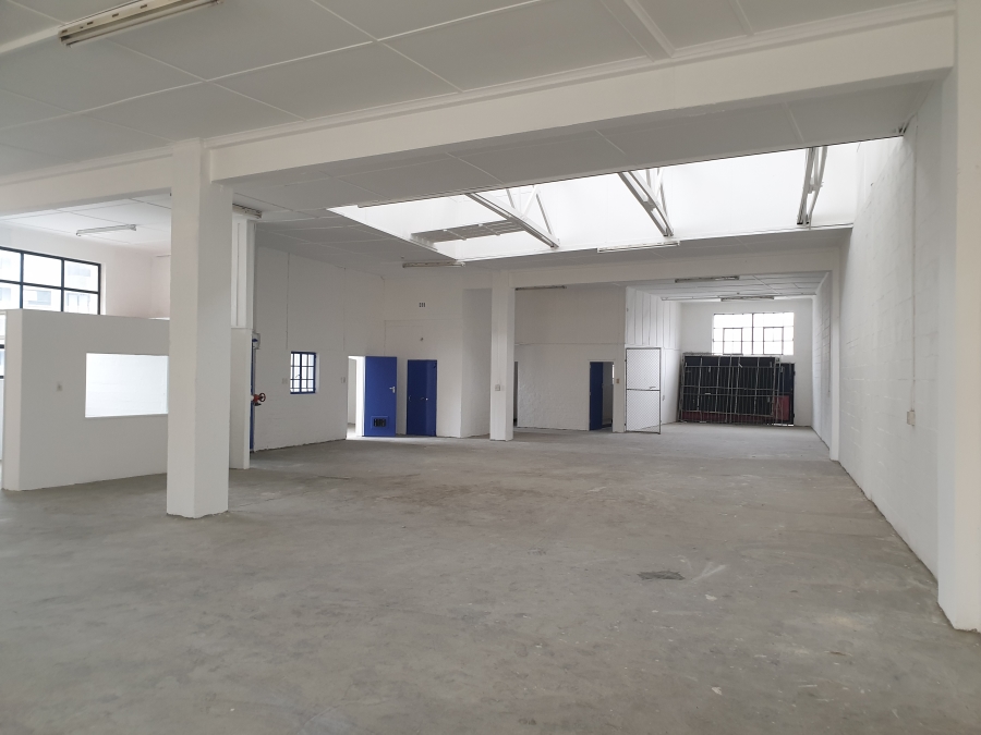 To Let commercial Property for Rent in Observatory Western Cape